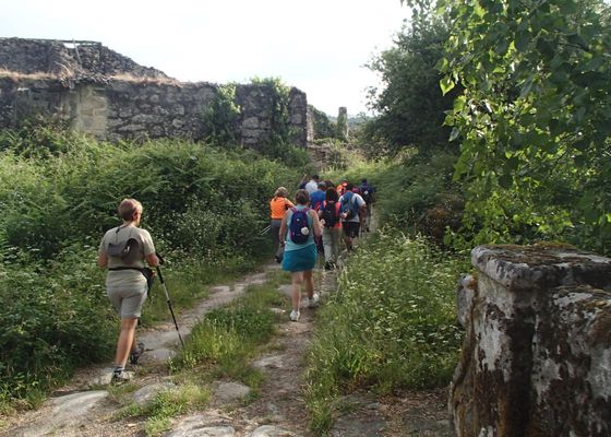 Abiertas las inscripciones para hacer el Camino de Santiago este verano