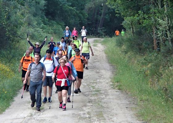 Prepárate para el Camino de Santiago con el SADUS