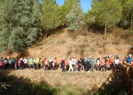 Todo en marcha para el Sendero Mágico de Los Alcores