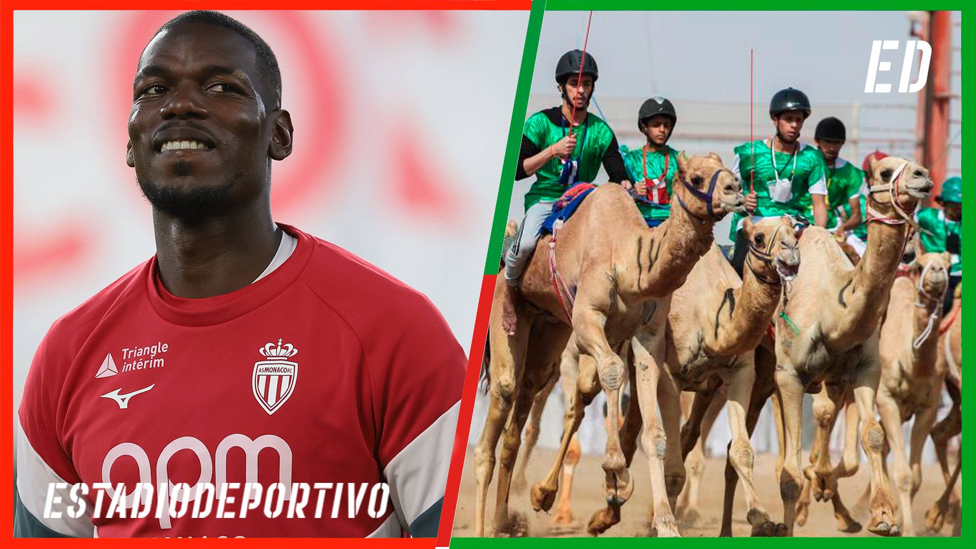 Paul Pogba aterriza en las carreras de camellos