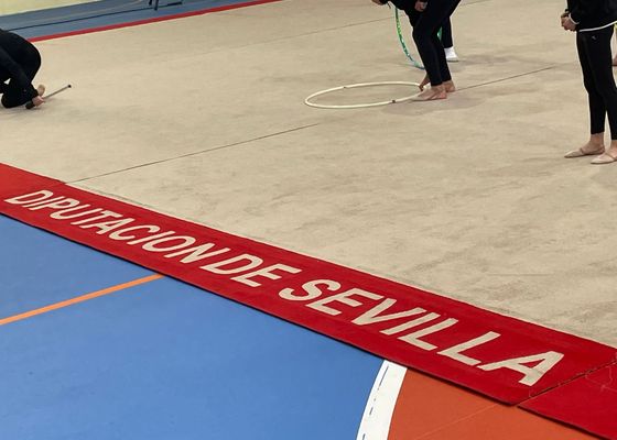 Las finales de equipo y de individual del Circuito Provincial de Gimnasia Rítmica se celebrarán en Arahal