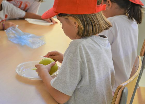 SADUS: consejos prácticos para un verano saludable