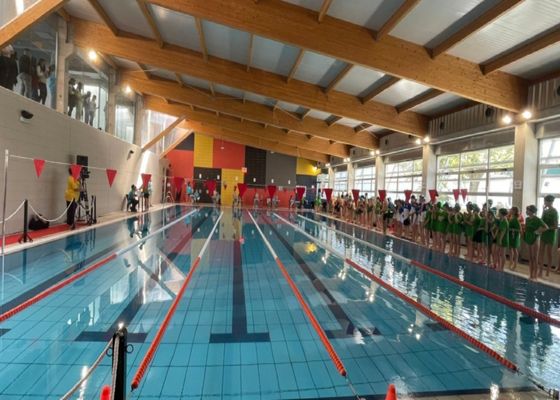 Comienzan los preparativos para el Circuito Provincial de Natación de invierno