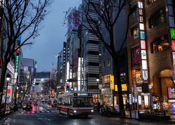 Japón encuentra una solución al turismo masificado 