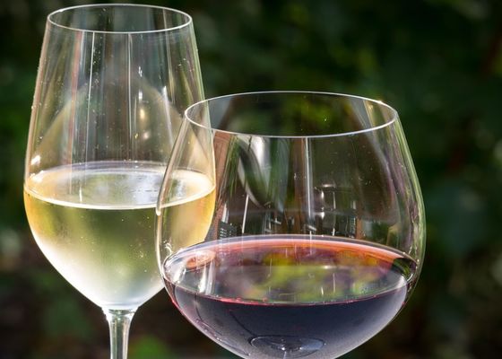 Los mejores vinos de supermercado: Tintos y blancos baratos y fantásticos