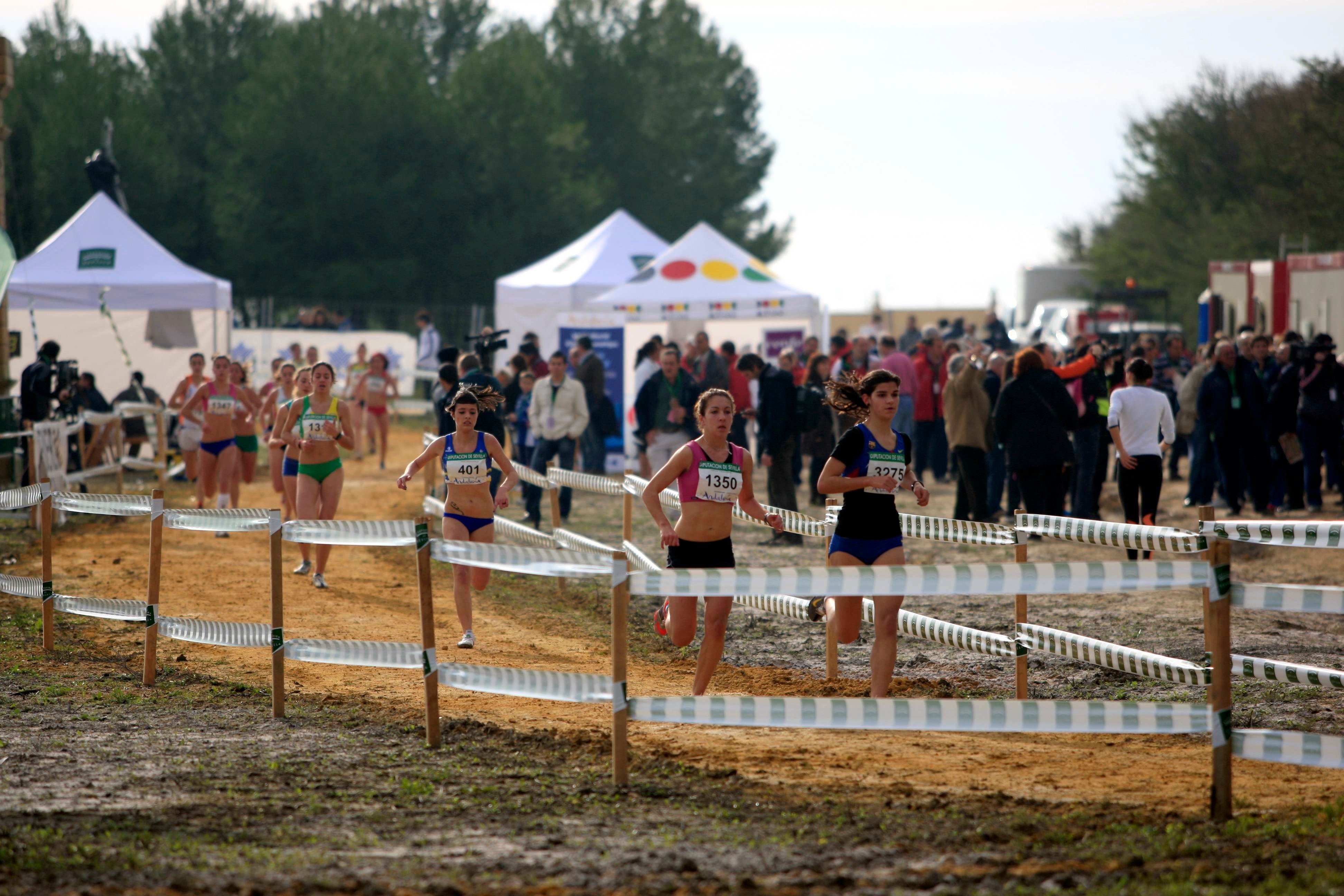 Cuándo y cómo recoger los dorsales para el Cross de itálica