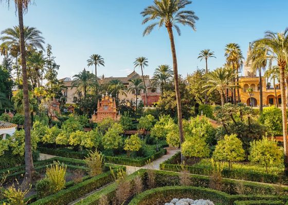 La gripe aviar se extiende por Sevilla y llega hasta el Alcázar