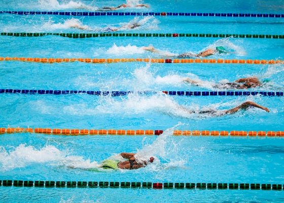 Ayer finalizó la primera jornada del Circuito de Natación y estos han sido los resultados de la competición