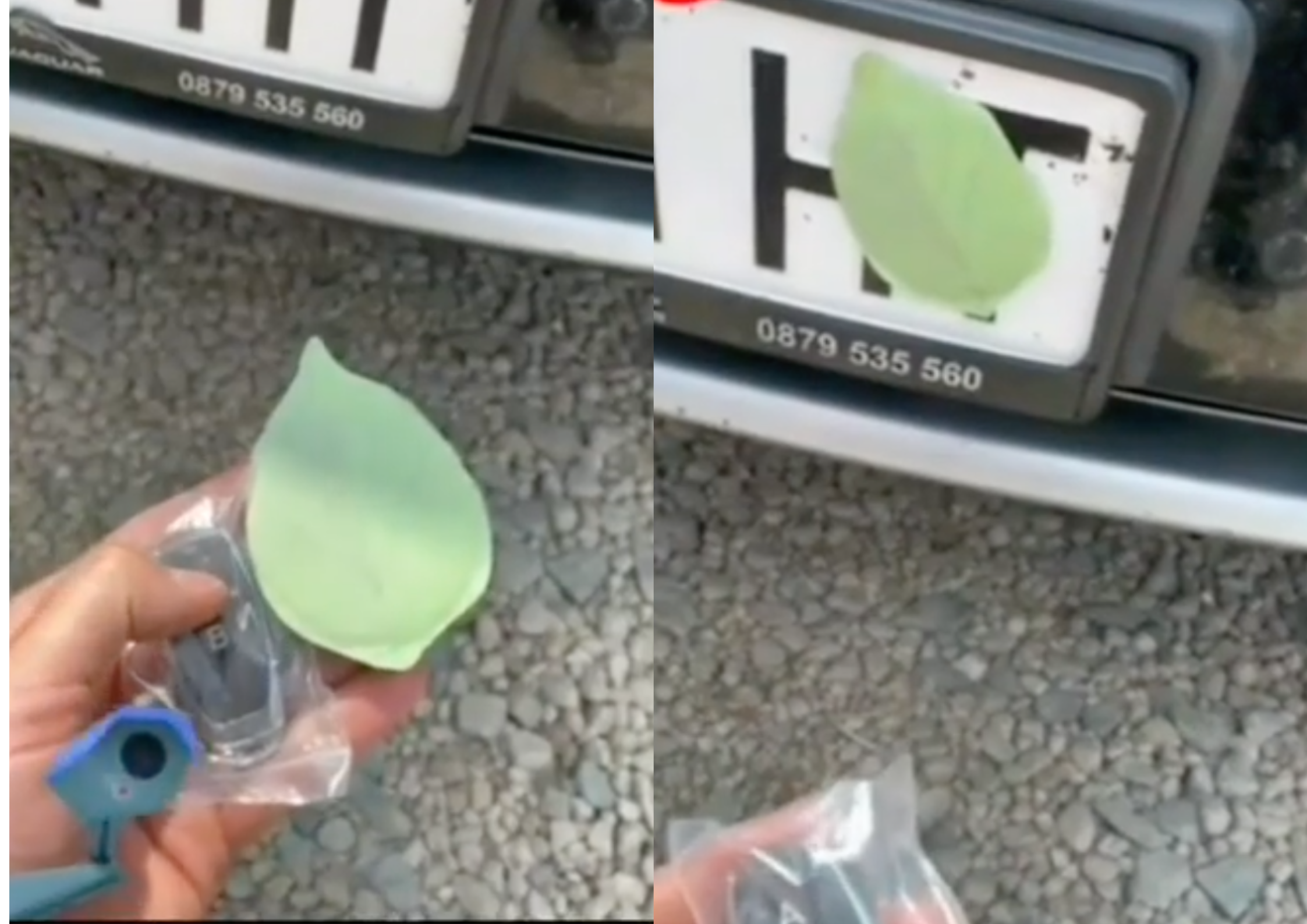 El truco de la hoja en la matrícula: lo que significa y por qué la Policía alerta sobre ella