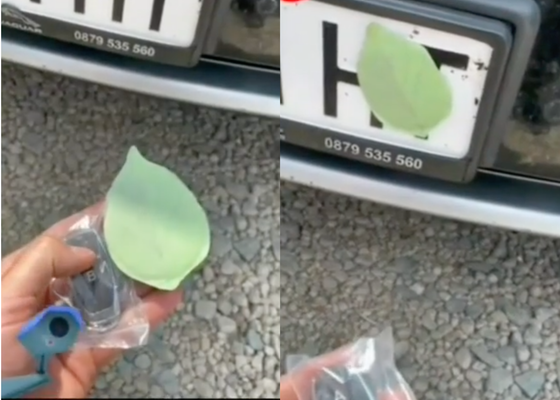 El truco de la hoja en la matrícula: lo que significa y por qué la Policía alerta sobre ella