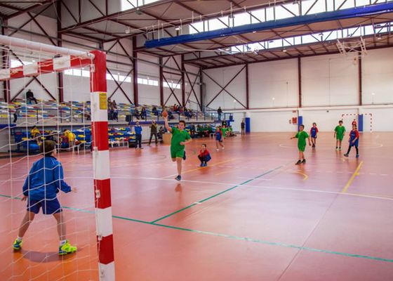 La Diputación de Sevilla vuelve a incluir el minibalonmano dentro de los Juegos Deportivos Provinciales