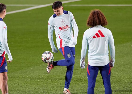 La afición 'desconfía' de la España en Luis de la Fuente