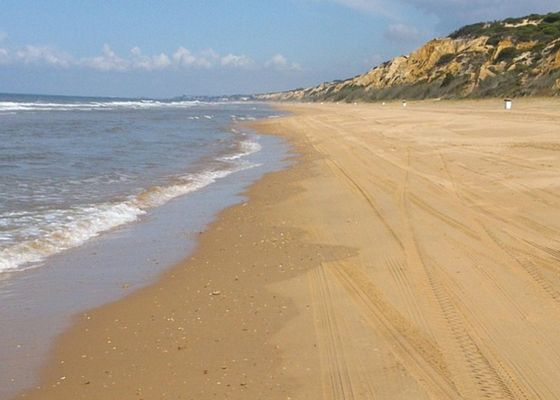 La playa más grande de Andalucía: completamente virgen y única en Europa