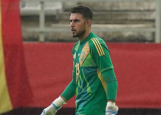 La Selección le echa una mano a la Real Sociedad