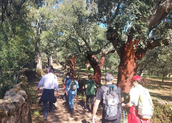 Ruta por el Medio Natural por la provincia de Cádiz