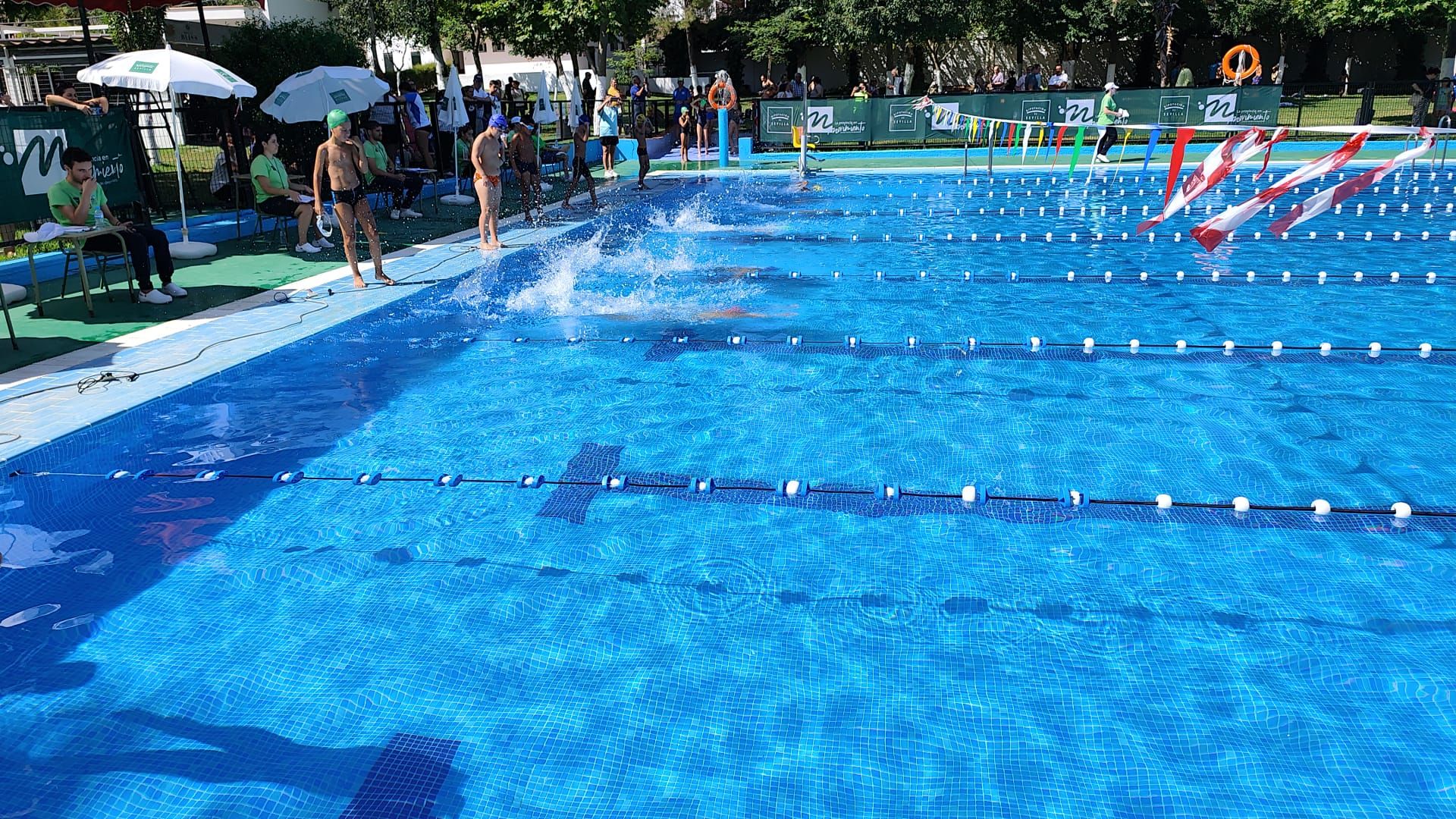 1.264 niños y niñas acuden a la llamada de la natación en Sevilla