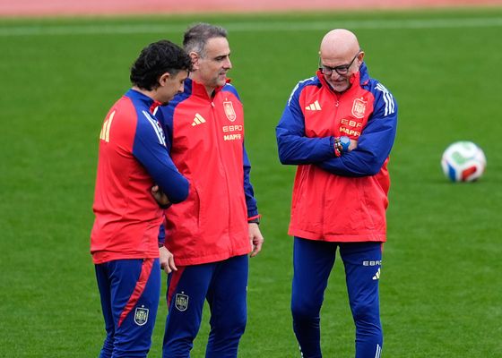 Dos amistosos para España antes de comenzar el Mundial