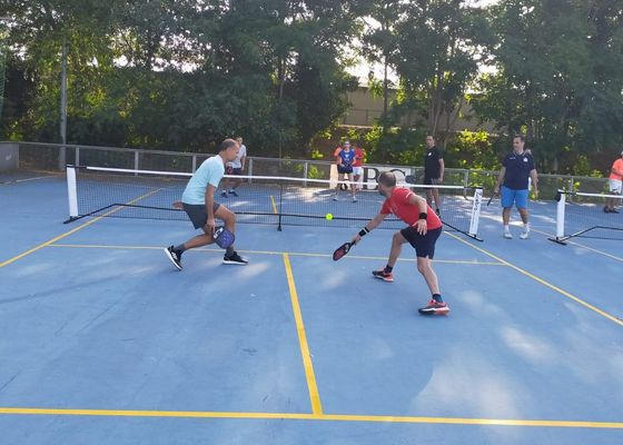 Se abre el plazo de inscripción de los cursos de nivel para abonados: tenis, pádel, pickleball y natación