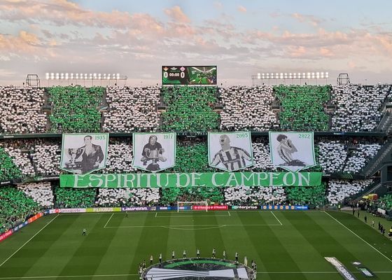 Miranda alucina con el tifo del Betis