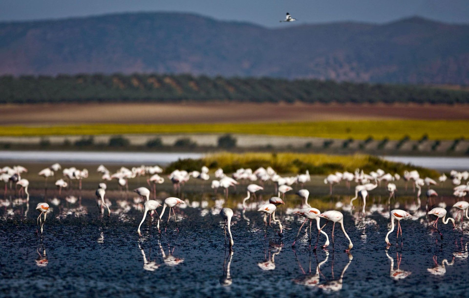 El lago más bonito de Andalucía para visitar en otoño
