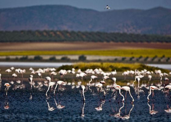 El lago más bonito de Andalucía para visitar en otoño
