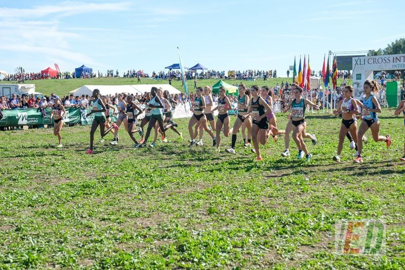 ¿Quiénes han sido los ganadores de las categorías inferiores del Cross de Itálica? 