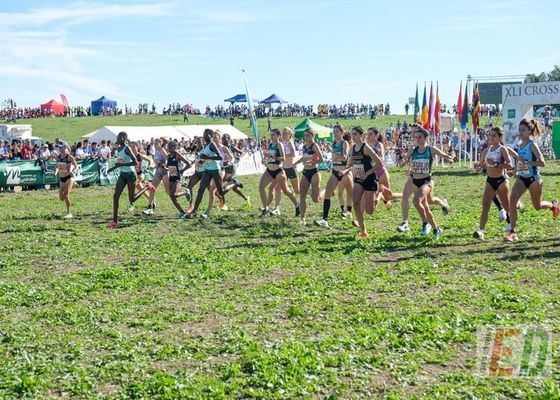 ¿Quiénes han sido los ganadores de las categorías inferiores del Cross de Itálica?