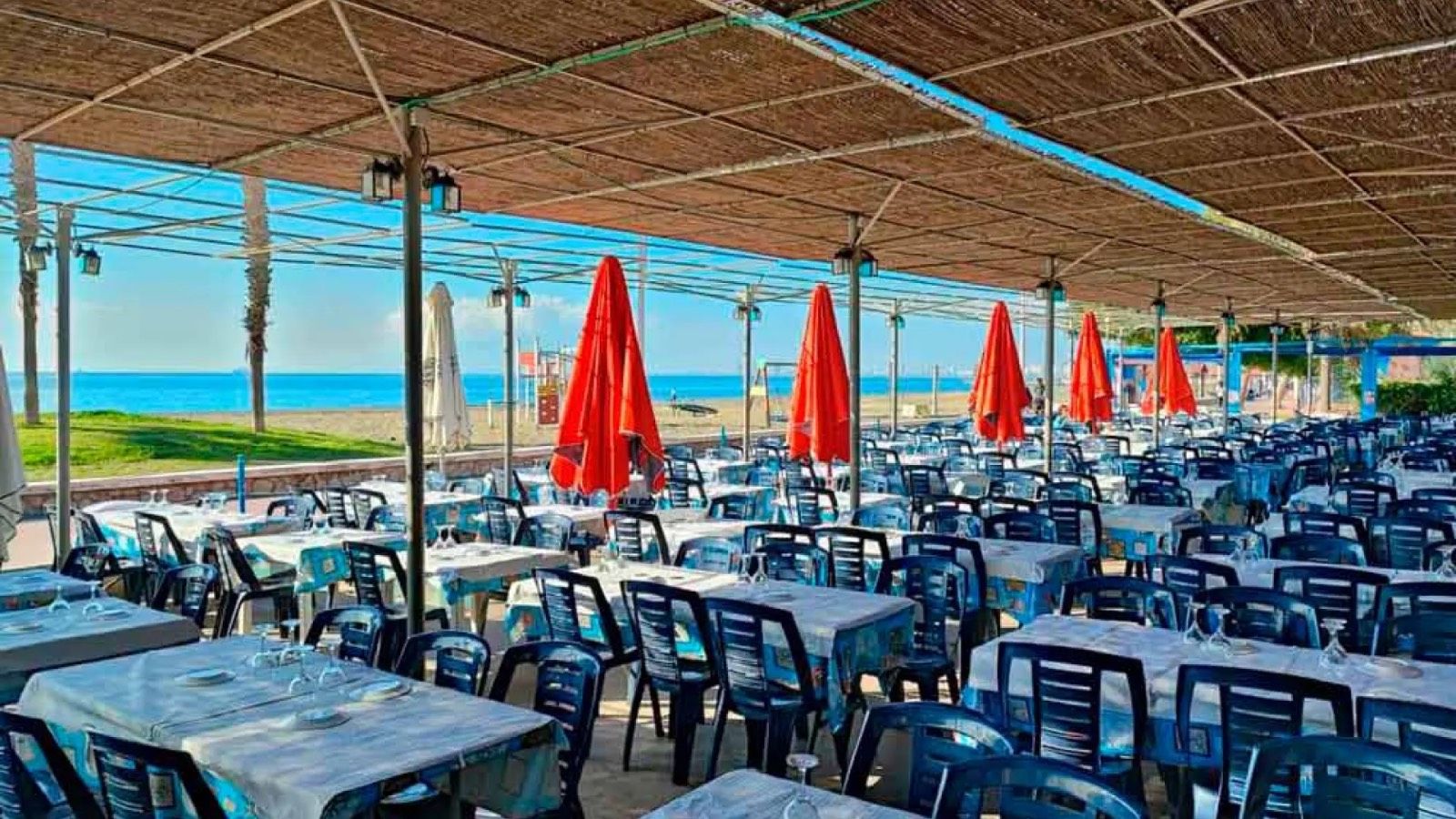 El bar chiringuito de Málaga donde pescas el marisco y el pescado 