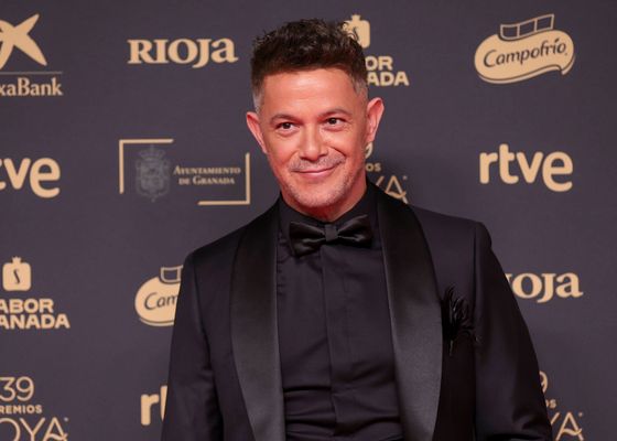 Alejandro Sanz denunciado por actitudes “inhumanas”