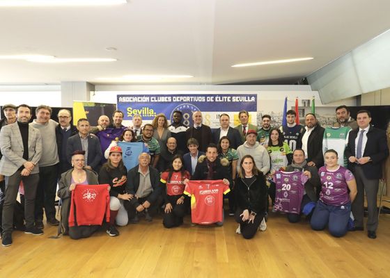 Sevilla, mecenas de los clubes y equipos sevillanos de elite
