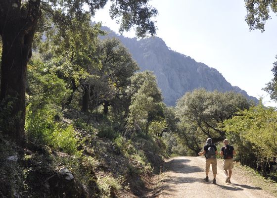 Andalucía a tus pies: senderos sencillos hacia las cumbres más espectaculares