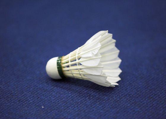 La emoción del Bádminton regresa este domingo a Mairena del Aljarafe