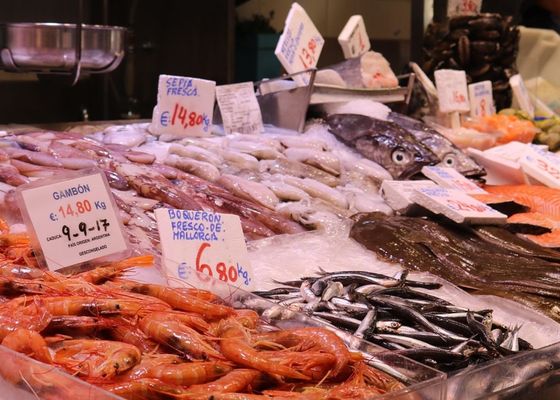 Ni atún ni salmón ni merluza, el pescado desconocido en España que es barato, bueno y saludable