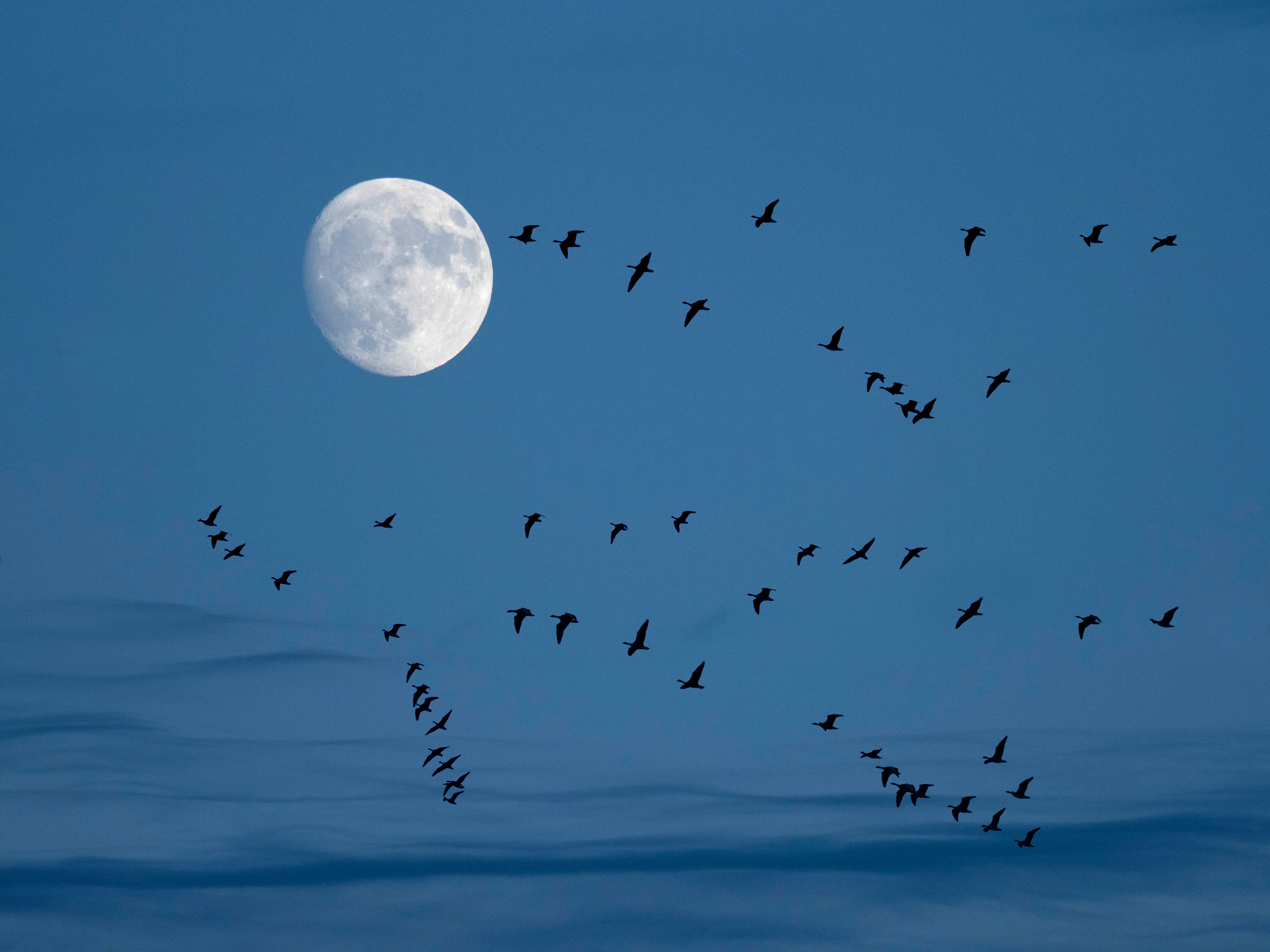 De la Tierra a la Luna: el GPS made in Spain que hará historia