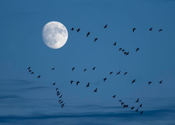 De la Tierra a la Luna: el GPS made in Spain que hará historia