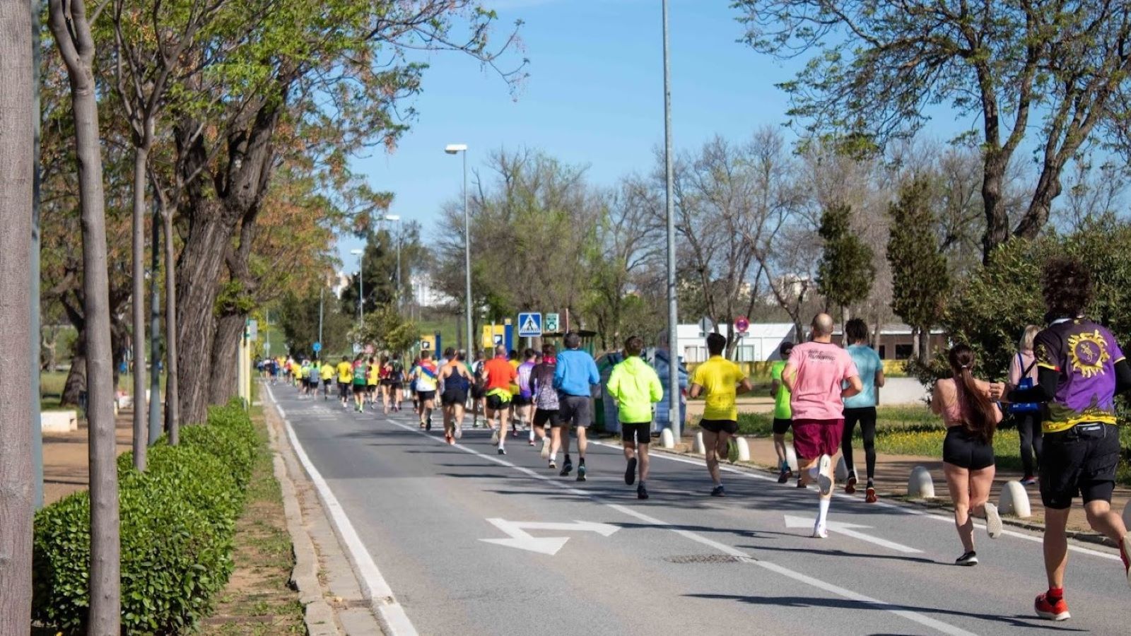 La VII Carrera Popular de la UPO corre por la Asociación Amiga
