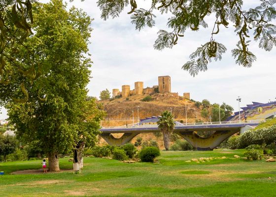 Alcalá de Guadaíra baja el telón del Campo a Través una semana después