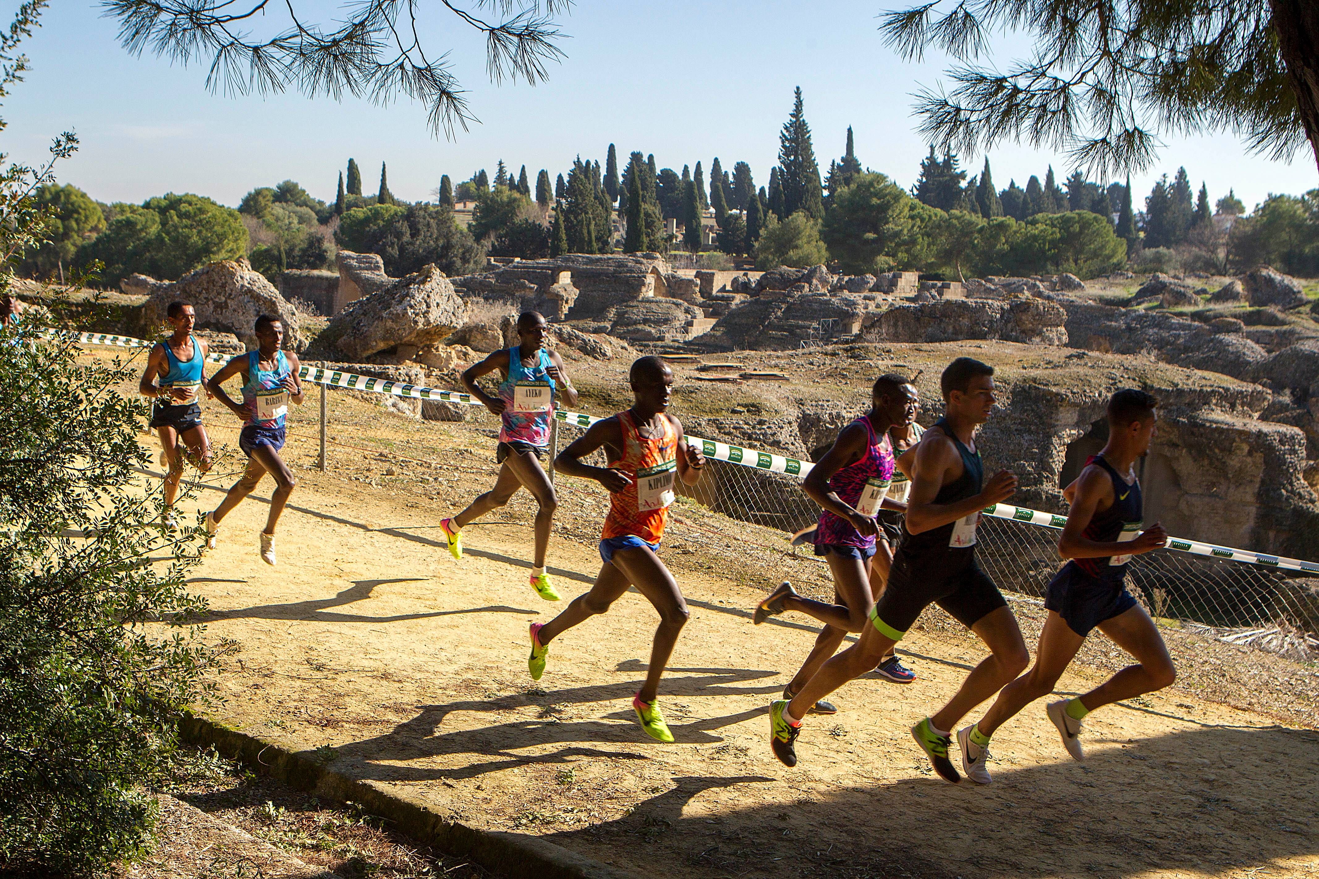 El Cross Nocturno, distinguido por la Innovación en los premios ADOC