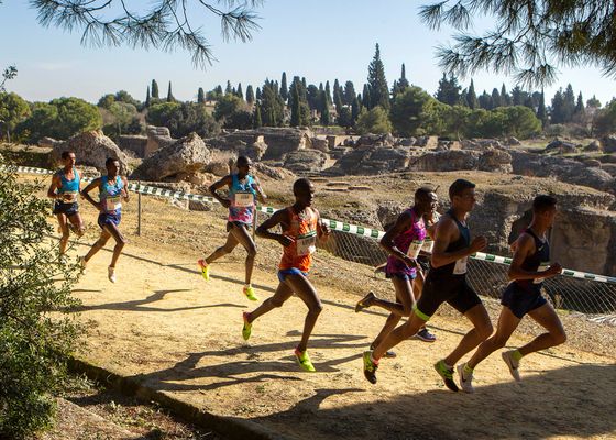 El Cross Nocturno, distinguido por la Innovación en los premios ADOC