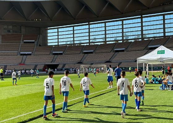 La Diputación de Sevilla promueve el deporte local con el lanzamiento tres nuevos programas de subvenciones