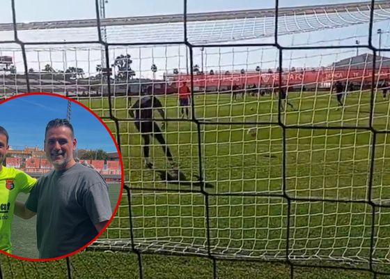 Hijo de un orgulloso padre: "La vuelta de un Palop a Sevilla"