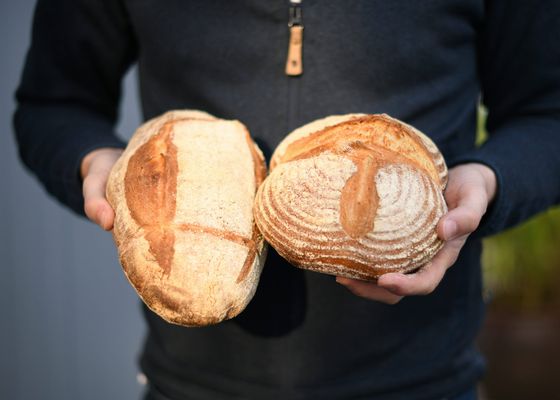 Una experta revela por qué deberías congelar siempre el pan