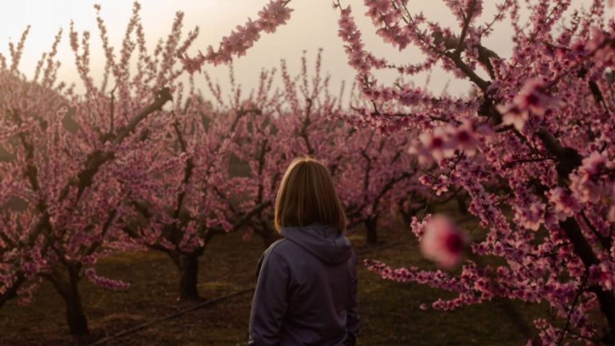 El enclave español que no tiene nada que envidiar a los paisajes japoneses 