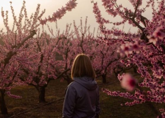El enclave español que no tiene nada que envidiar a los paisajes japoneses 