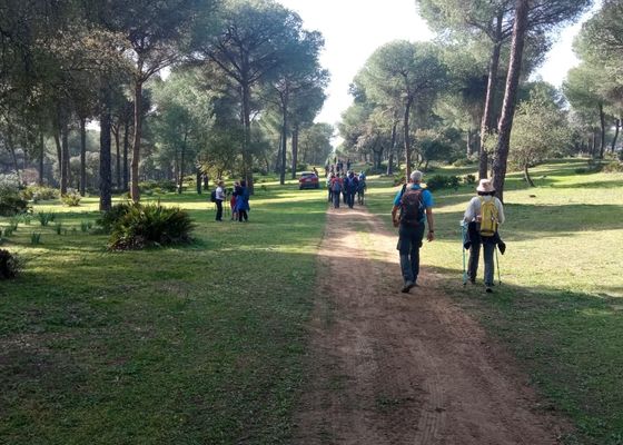Continúan las rutas por el Medio Natural en el SADUS