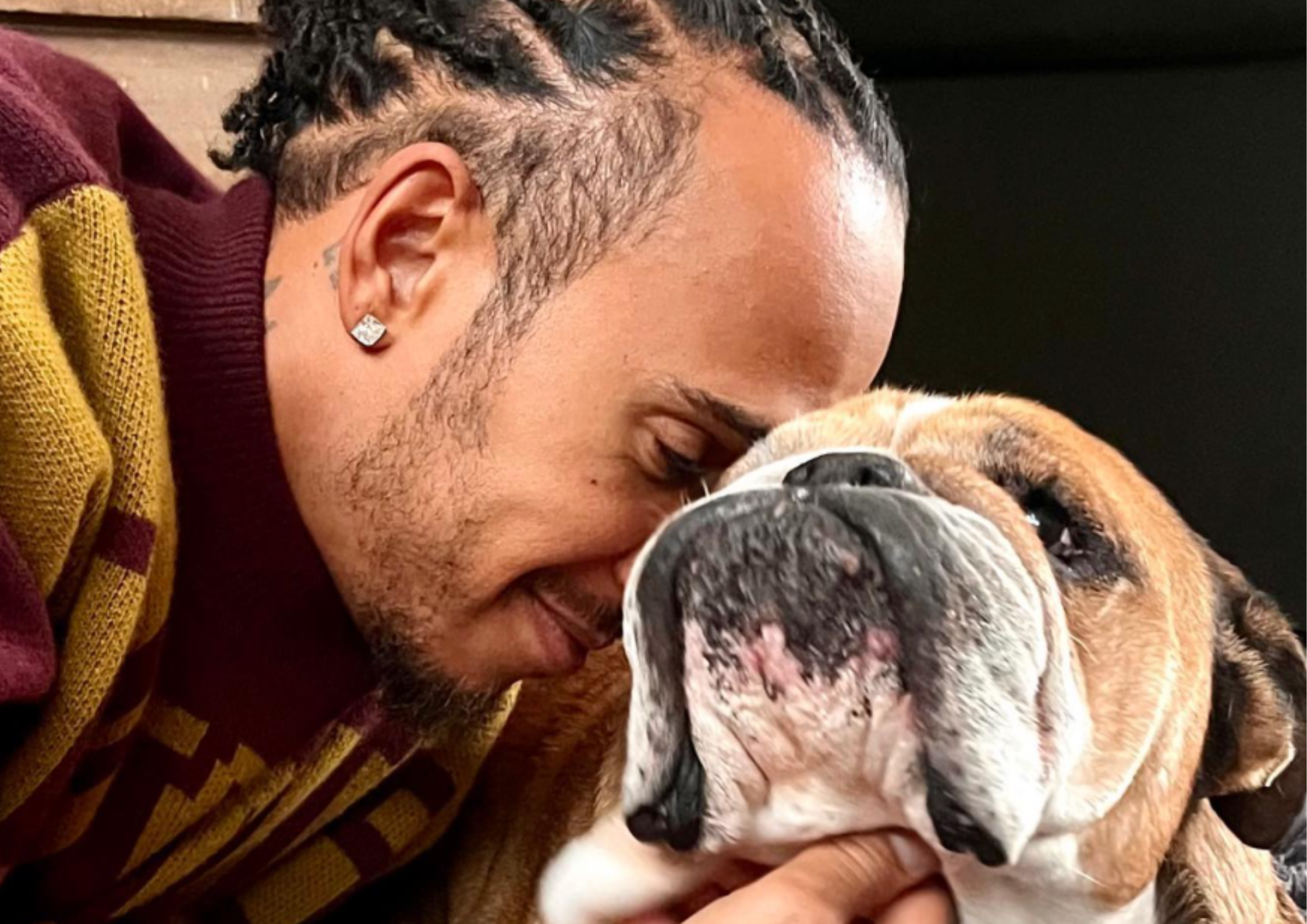 Muere Roscoe, el inseparable compañero de Lewis Hamilton