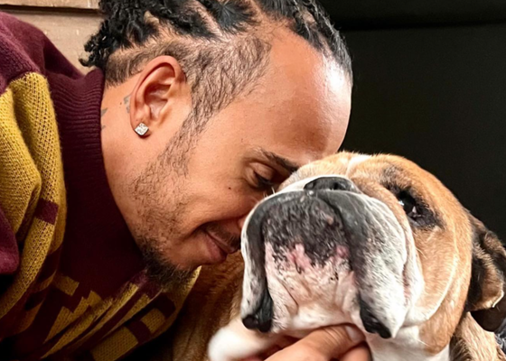 Muere Roscoe, el inseparable compañero de Lewis Hamilton