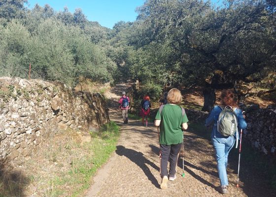 Actividades por el Medio natural para el año 2023