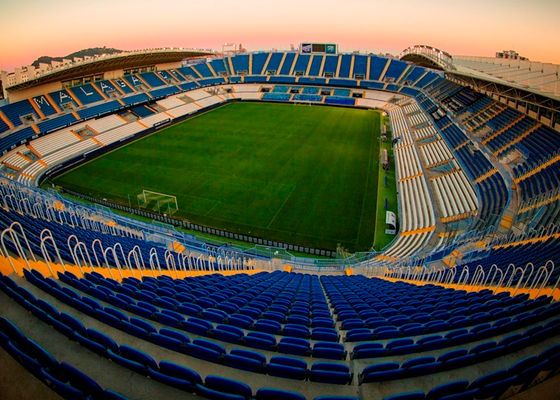 El Málaga y La Rosaleda esperan una decisión con nivel de Primera y que puede marcar el futuro