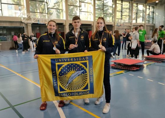 La Universidad Pablo de Olavide logra tres medallas en el Campeonato de España Universitario de taekwondo